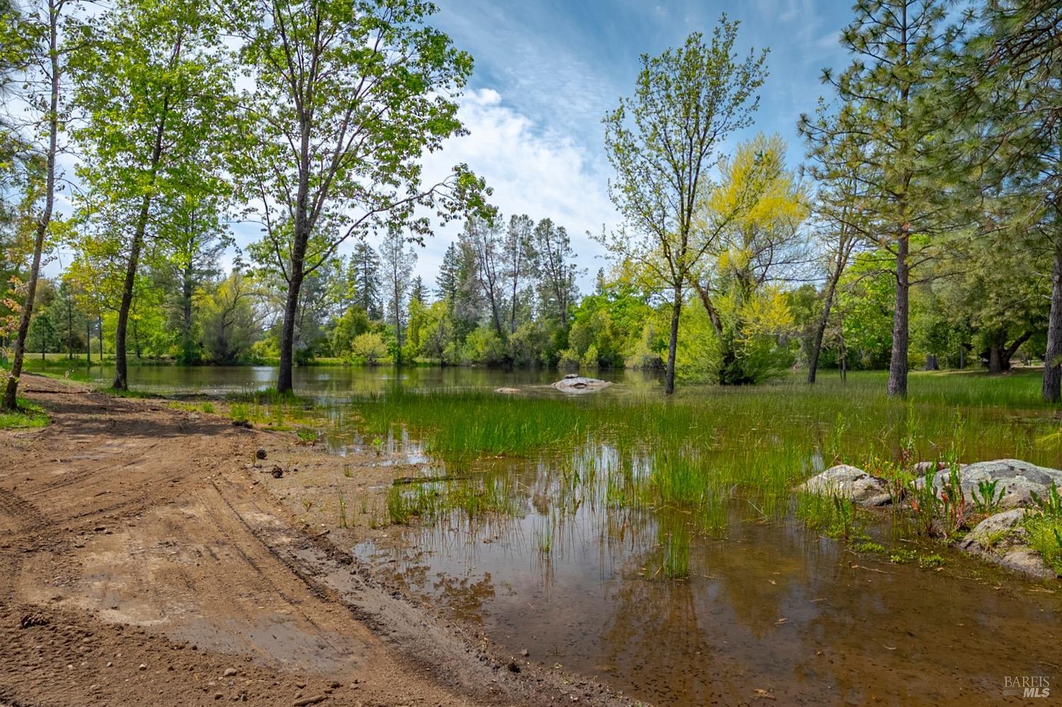 Detail Gallery Image 22 of 85 For 4870 Usona Rd, Mariposa,  CA 95338 - 2 Beds | 2 Baths
