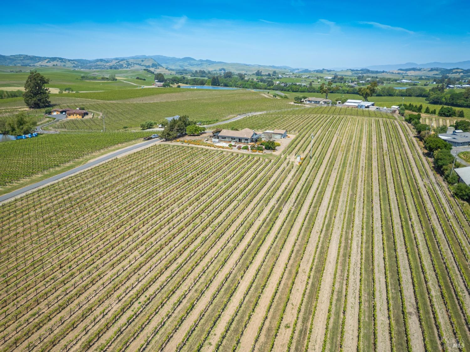 Detail Gallery Image 7 of 60 For 1150 Bayview Ave, Napa,  CA 94559 - 3 Beds | 2 Baths