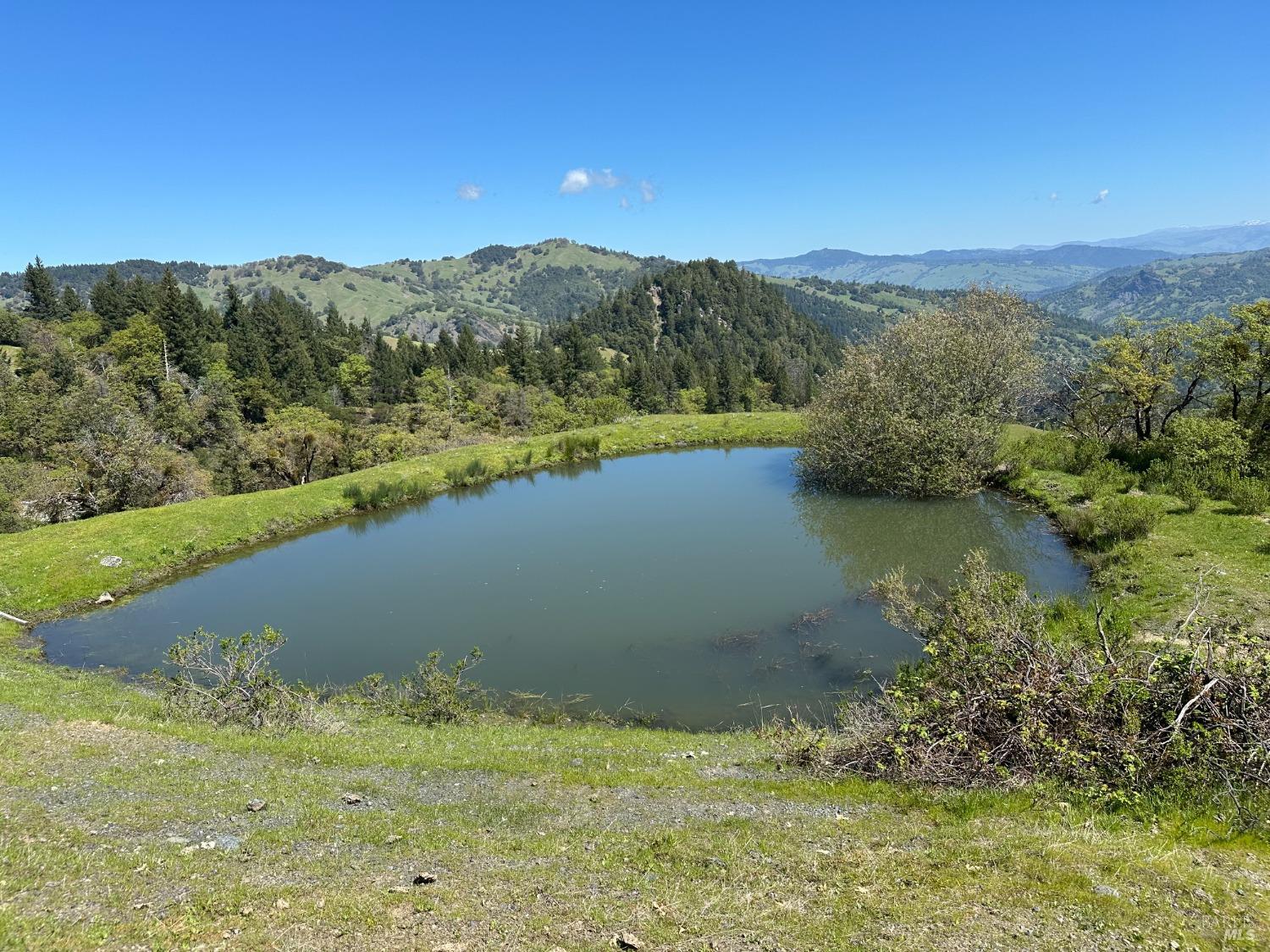 Detail Gallery Image 4 of 32 For 58991 Registered Guest Rd, Leggett,  CA 95585 - 3 Beds | 2 Baths