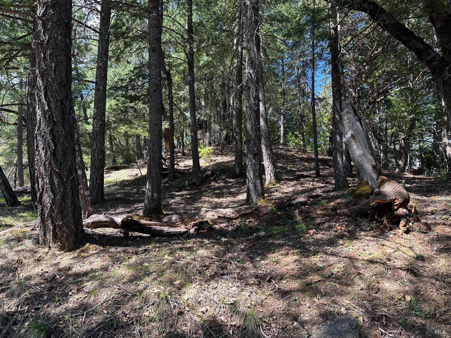 Detail Gallery Image 16 of 32 For 58991 Registered Guest Rd, Leggett,  CA 95585 - 3 Beds | 2 Baths