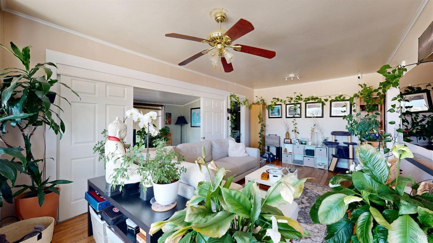 Detail Gallery Image 47 of 74 For Address Is Not Disclosed, San Rafael,  CA 94901 - – Beds | – Baths