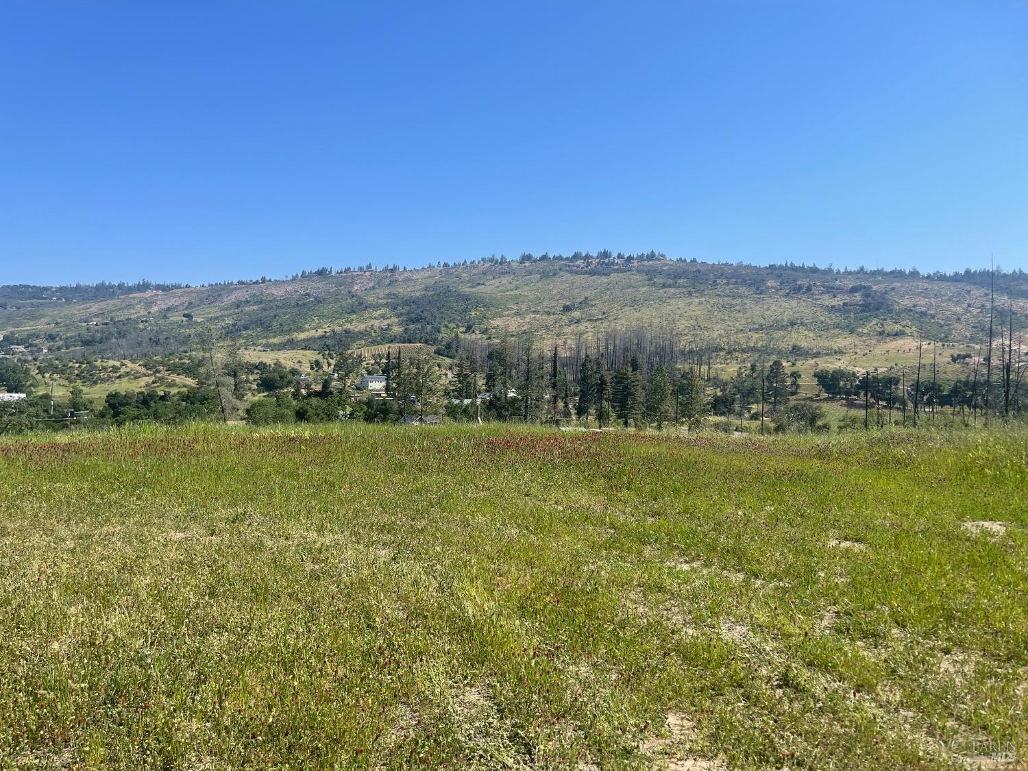 Detail Gallery Image 1 of 7 For 595 Mund Rd, Saint Helena,  CA 94574 - – Beds | – Baths