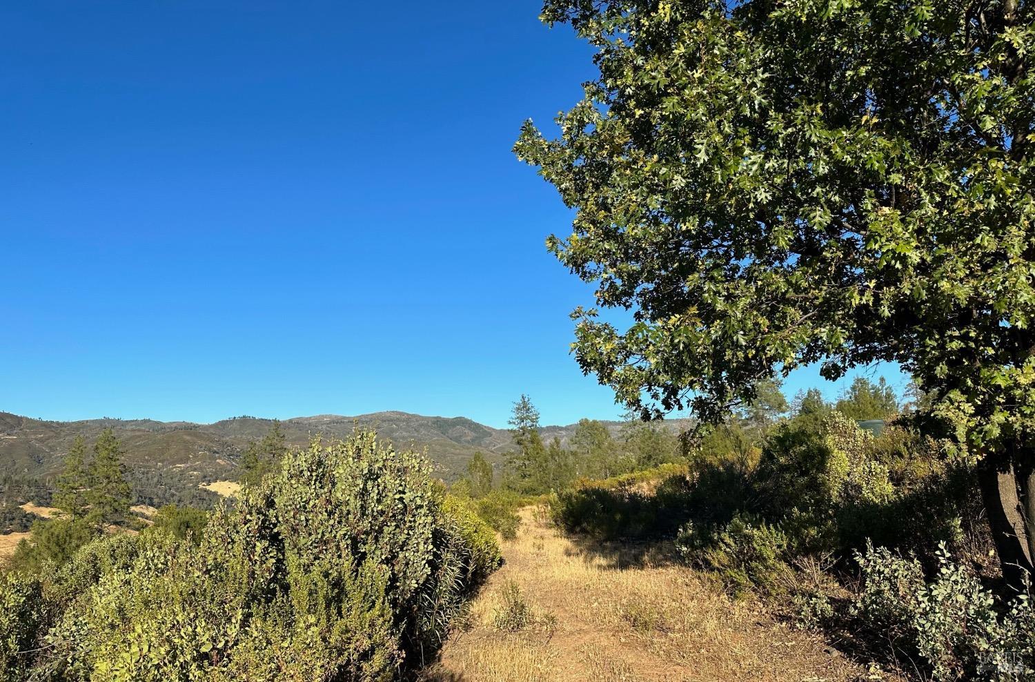 Detail Gallery Image 2 of 9 For 1725 Clover Valley Rd, Upper Lake,  CA 95485 - – Beds | – Baths