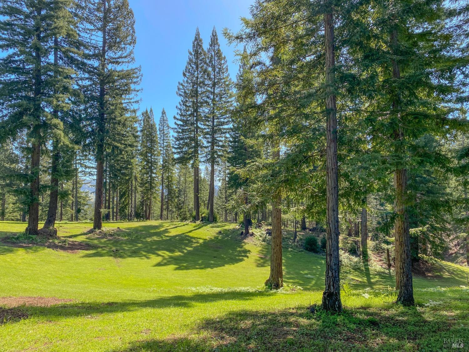 Detail Gallery Image 36 of 52 For 13740 Peregrine Rd, Boonville,  CA 95415 - – Beds | – Baths