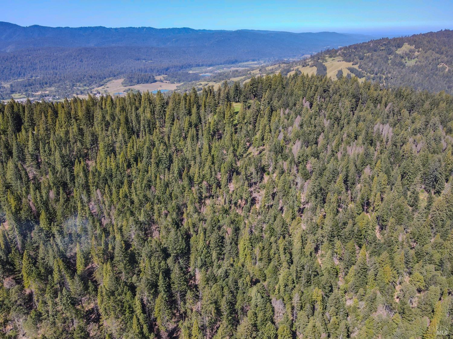 Detail Gallery Image 26 of 52 For 13740 Peregrine Rd, Boonville,  CA 95415 - – Beds | – Baths