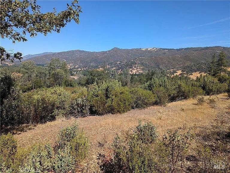 Detail Gallery Image 6 of 9 For 1725 Clover Valley Rd, Upper Lake,  CA 95485 - – Beds | – Baths
