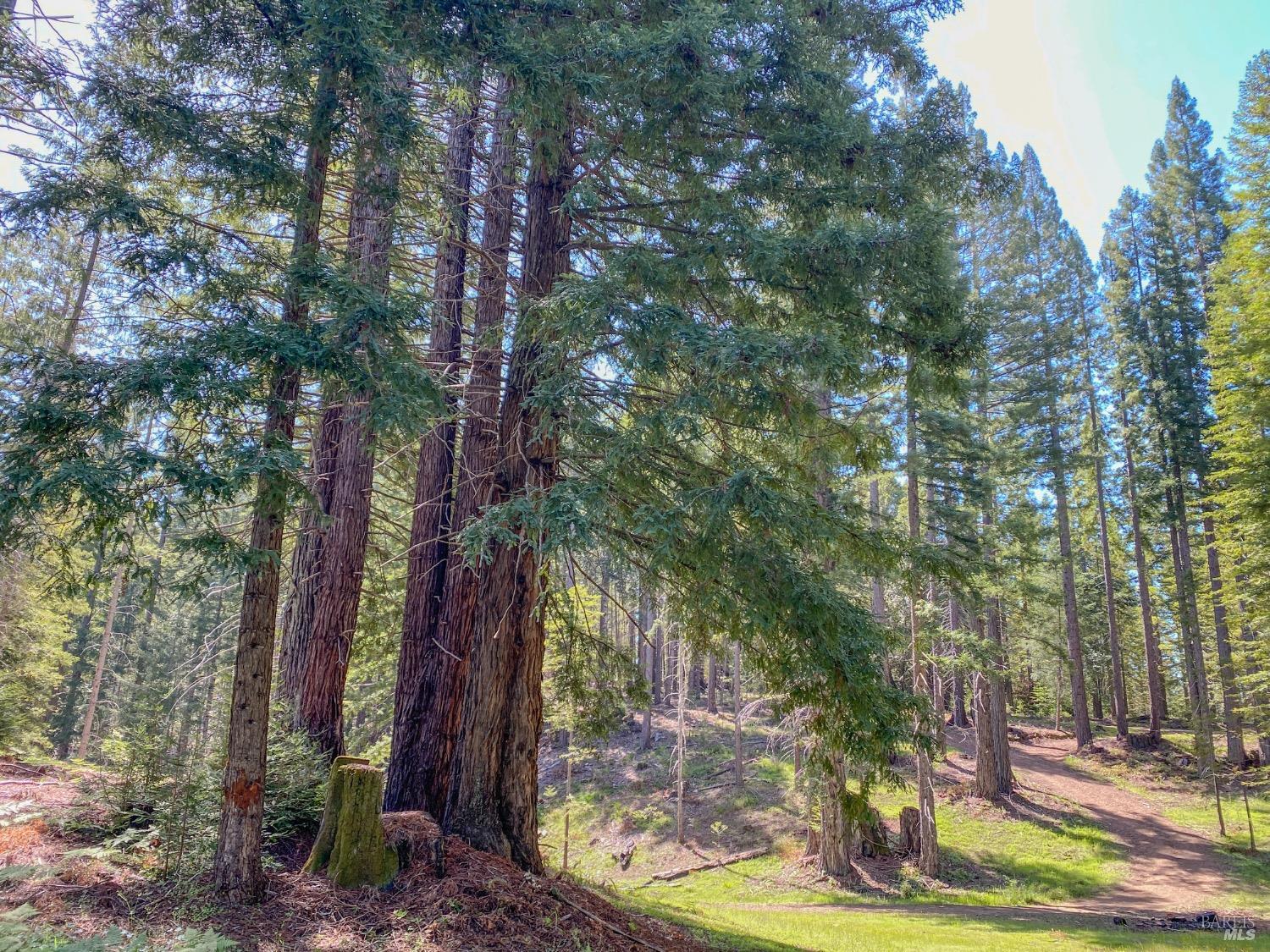 Detail Gallery Image 38 of 52 For 13740 Peregrine Rd, Boonville,  CA 95415 - – Beds | – Baths