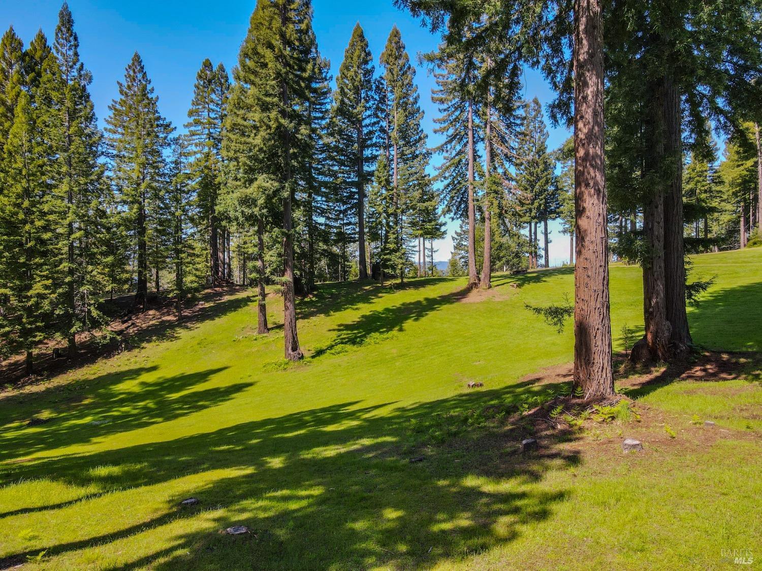 Detail Gallery Image 19 of 52 For 13740 Peregrine Rd, Boonville,  CA 95415 - – Beds | – Baths