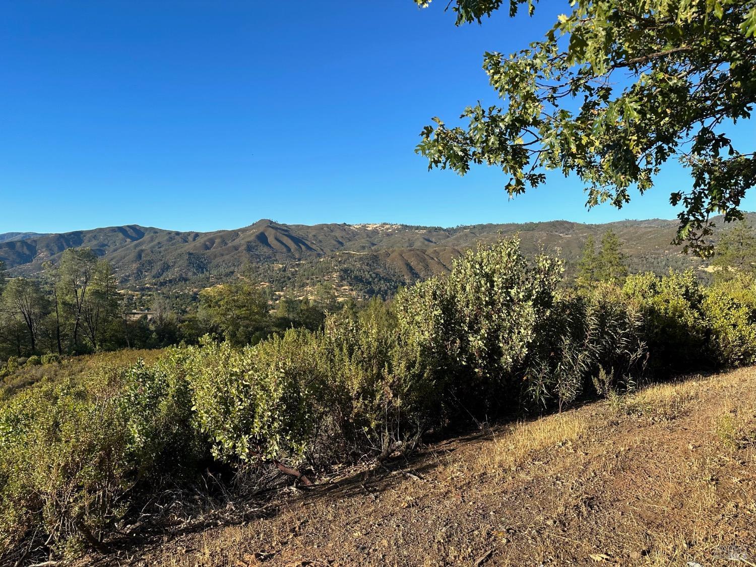 Detail Gallery Image 5 of 9 For 1725 Clover Valley Rd, Upper Lake,  CA 95485 - – Beds | – Baths
