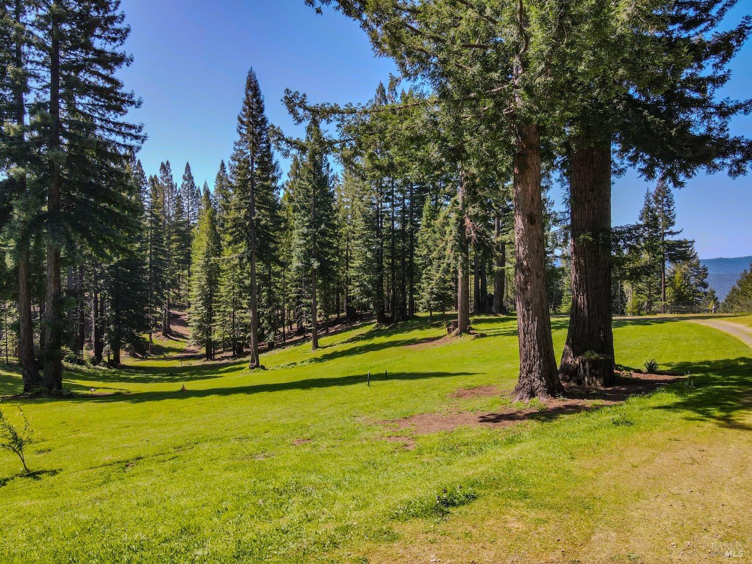 Detail Gallery Image 20 of 52 For 13740 Peregrine Rd, Boonville,  CA 95415 - – Beds | – Baths