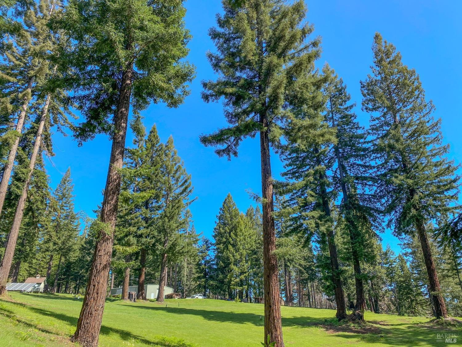 Detail Gallery Image 37 of 52 For 13740 Peregrine Rd, Boonville,  CA 95415 - – Beds | – Baths