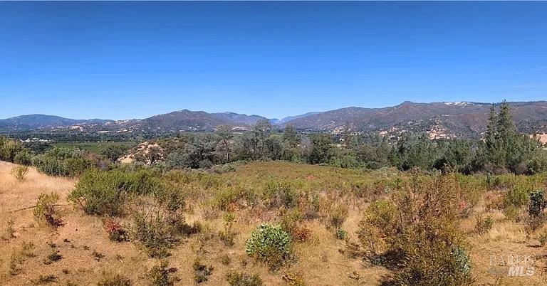 Detail Gallery Image 1 of 9 For 1725 Clover Valley Rd, Upper Lake,  CA 95485 - – Beds | – Baths