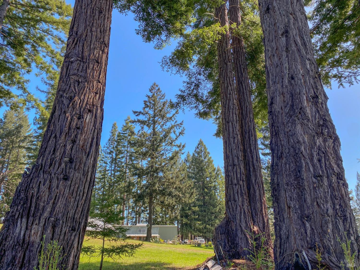 Detail Gallery Image 32 of 52 For 13740 Peregrine Rd, Boonville,  CA 95415 - – Beds | – Baths
