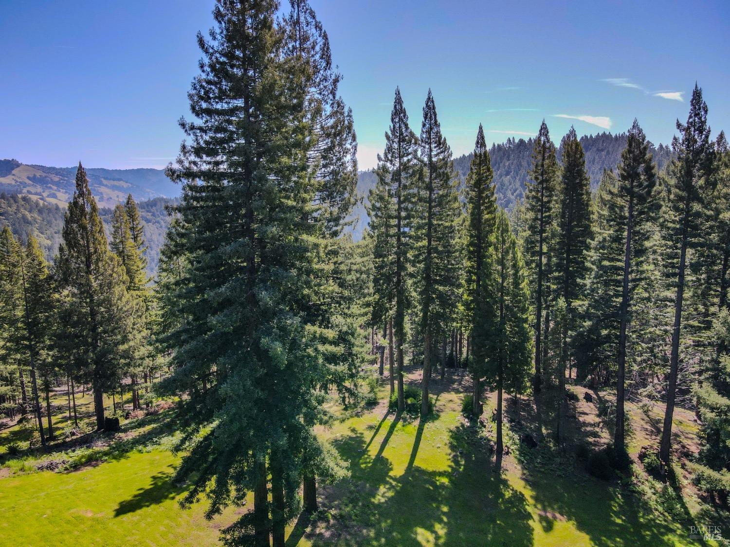 Detail Gallery Image 16 of 52 For 13740 Peregrine Rd, Boonville,  CA 95415 - – Beds | – Baths