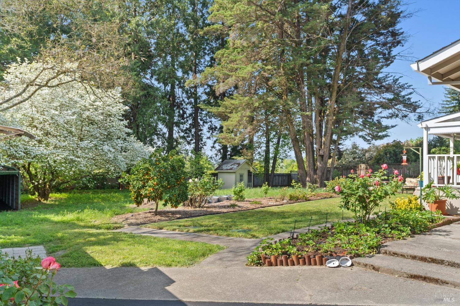 Detail Gallery Image 10 of 82 For 6049 Van Keppel Rd, Forestville,  CA 95436 - 2 Beds | 1 Baths