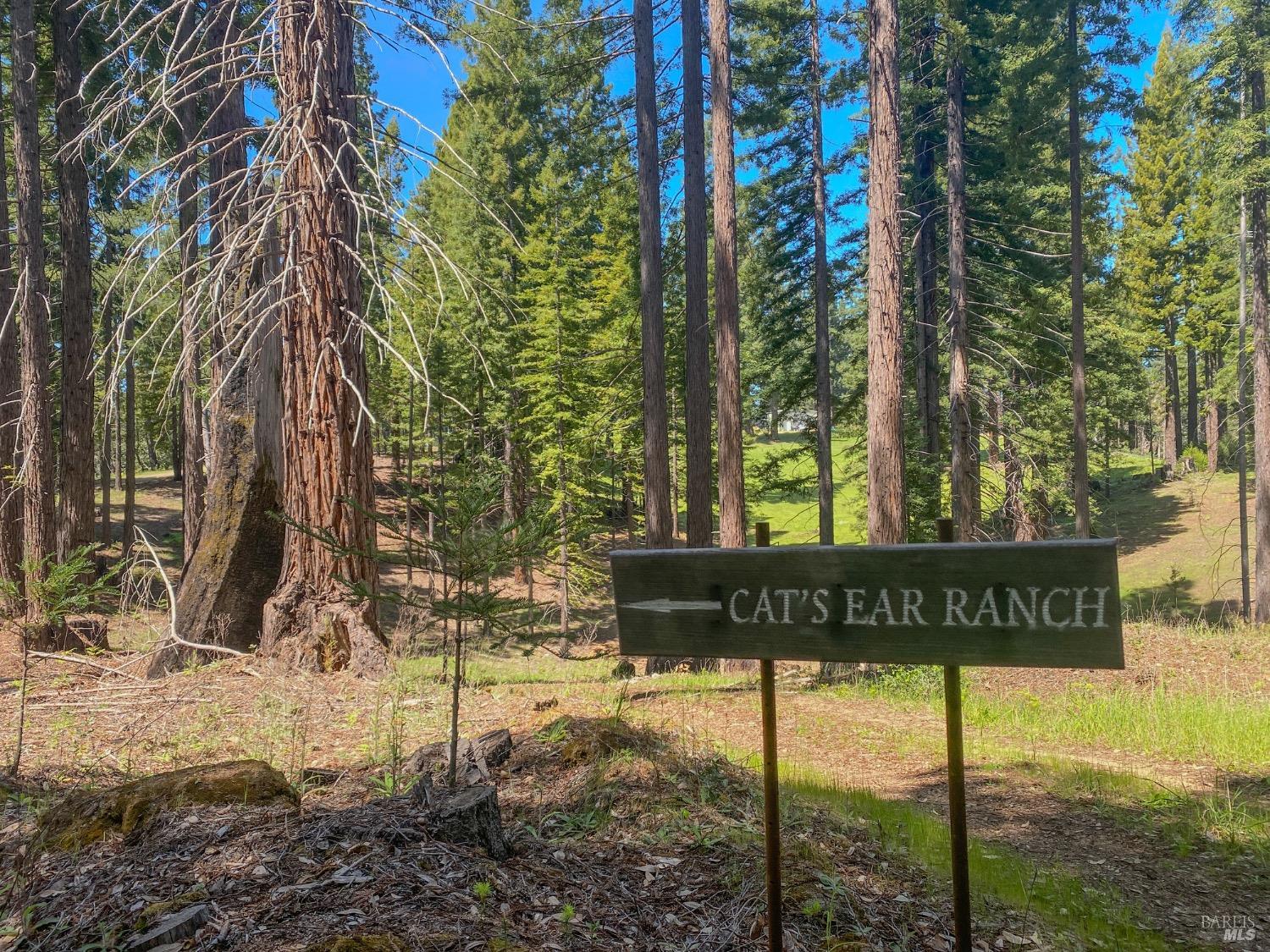 Detail Gallery Image 52 of 52 For 13740 Peregrine Rd, Boonville,  CA 95415 - – Beds | – Baths