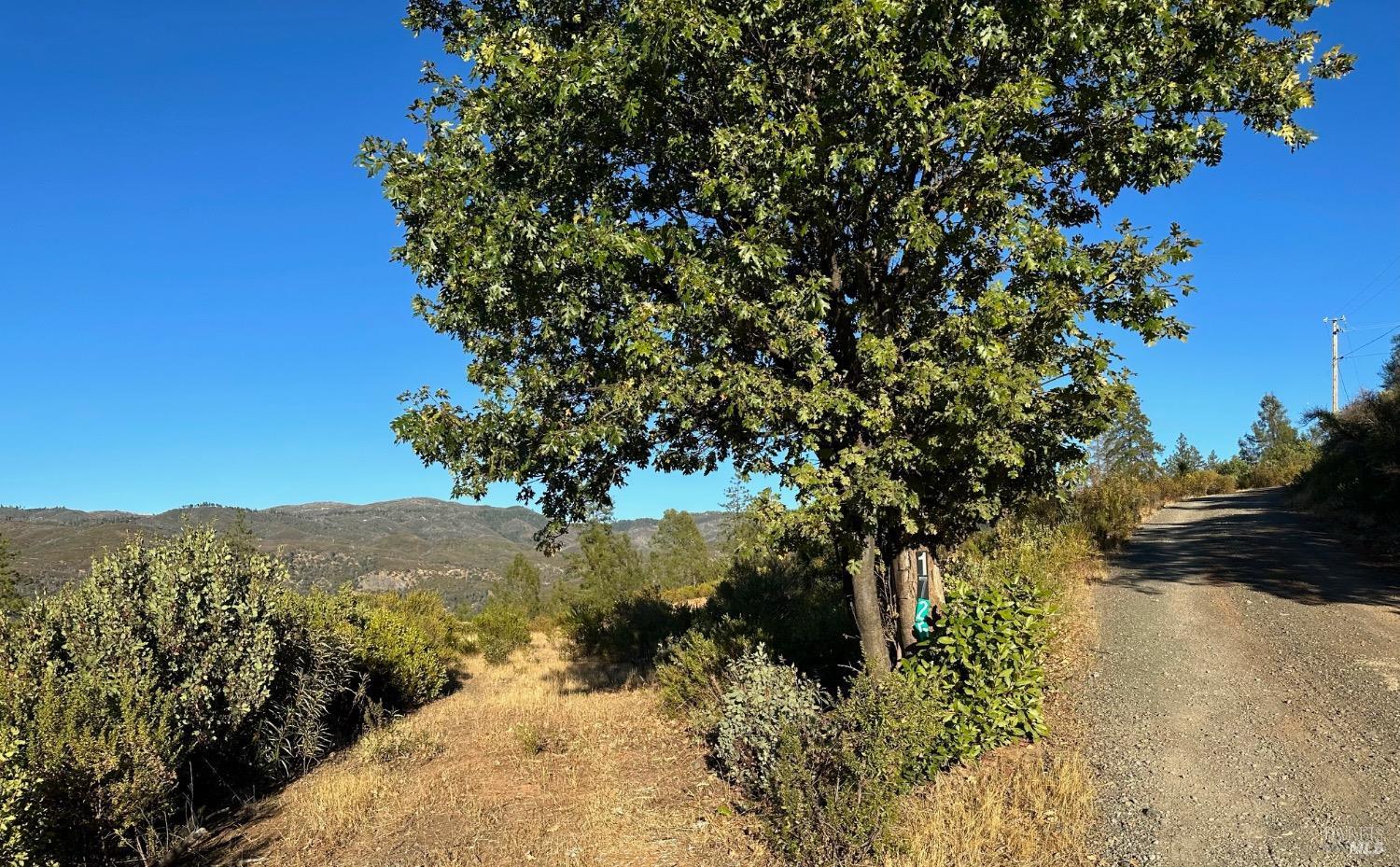 Detail Gallery Image 3 of 9 For 1725 Clover Valley Rd, Upper Lake,  CA 95485 - – Beds | – Baths