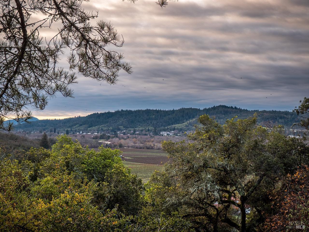 Detail Gallery Image 52 of 74 For 23078 Vineyard Rd, Geyserville,  CA 95441 - 3 Beds | 2 Baths