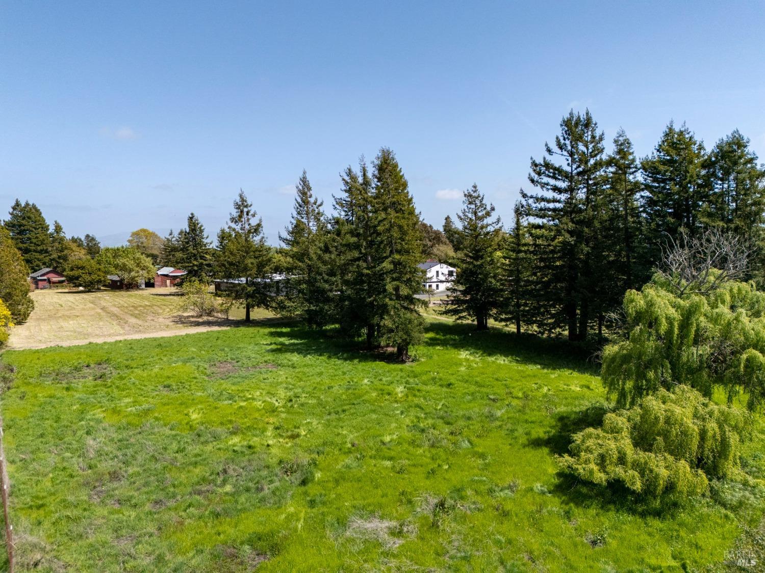 Detail Gallery Image 4 of 95 For 3314 Gravenstein Hwy, Sebastopol,  CA 95472 - 7 Beds | 4/1 Baths