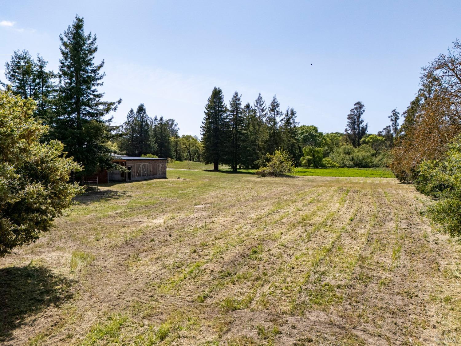Detail Gallery Image 44 of 95 For 3314 Gravenstein Hwy, Sebastopol,  CA 95472 - 7 Beds | 4/1 Baths