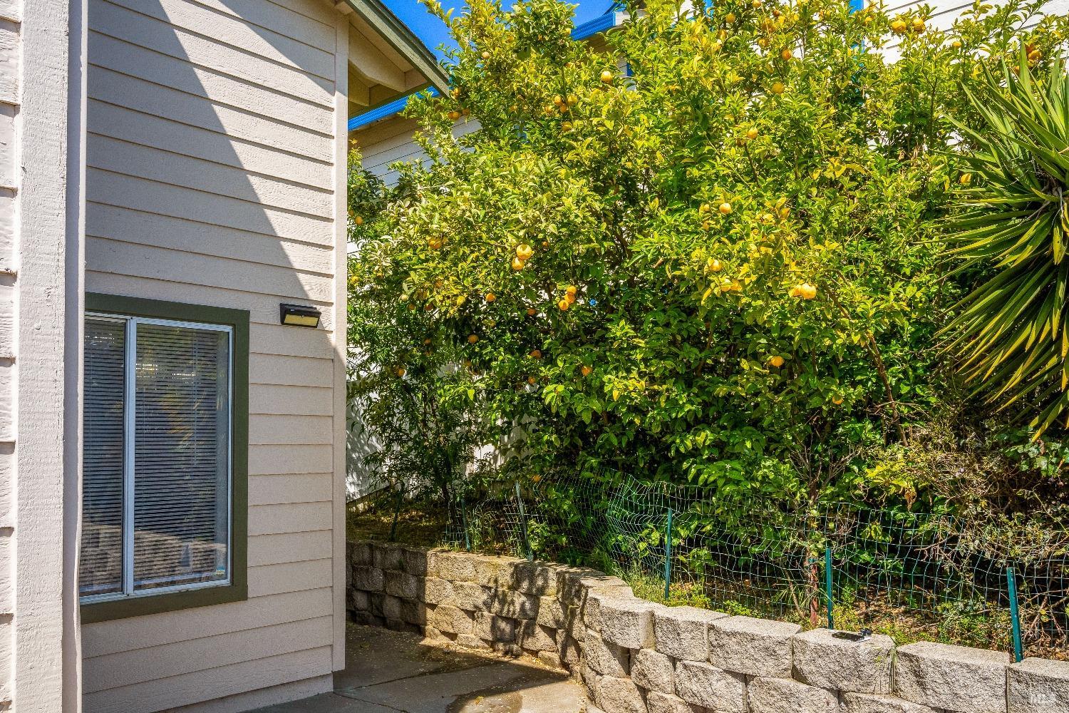 Cimarron Drive, Vallejo, California image 34