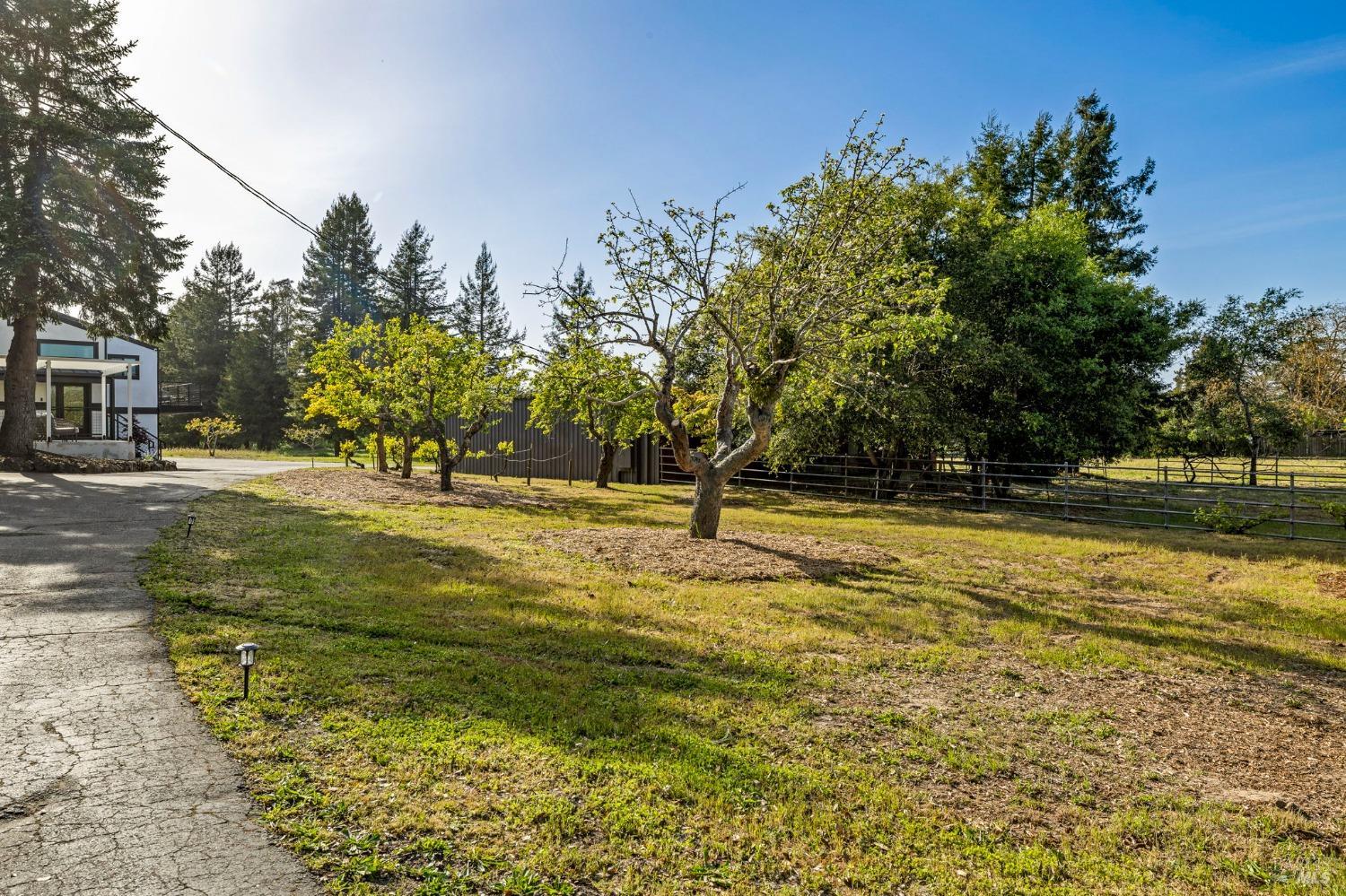 Detail Gallery Image 71 of 95 For 3314 Gravenstein Hwy, Sebastopol,  CA 95472 - 7 Beds | 4/1 Baths