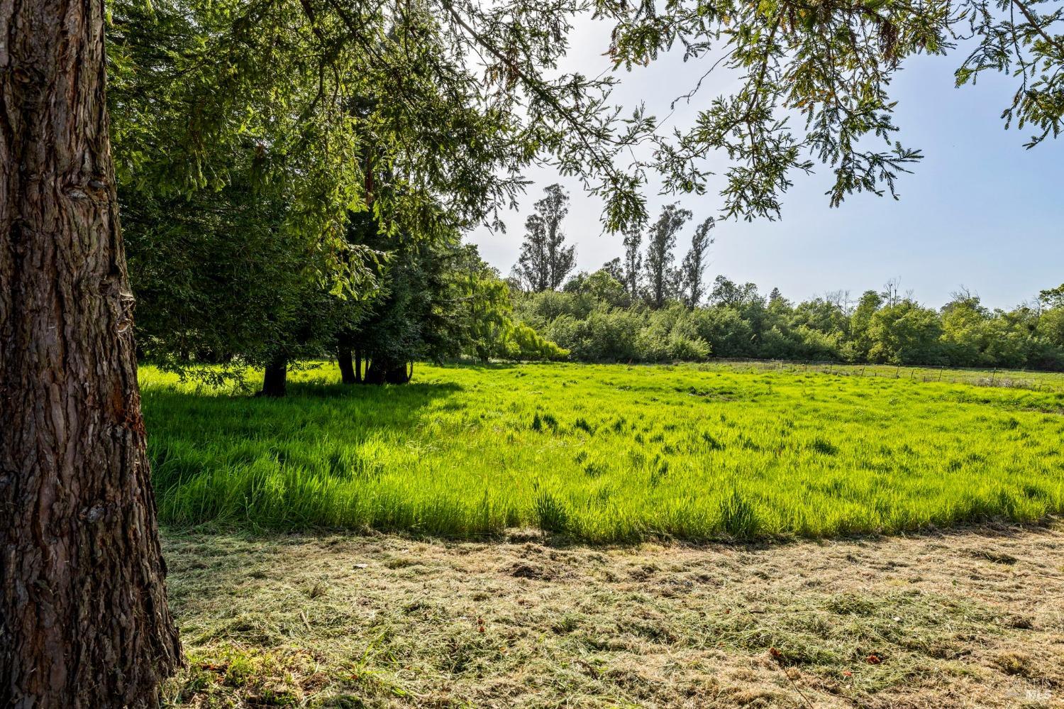 Detail Gallery Image 53 of 95 For 3314 Gravenstein Hwy, Sebastopol,  CA 95472 - 7 Beds | 4/1 Baths