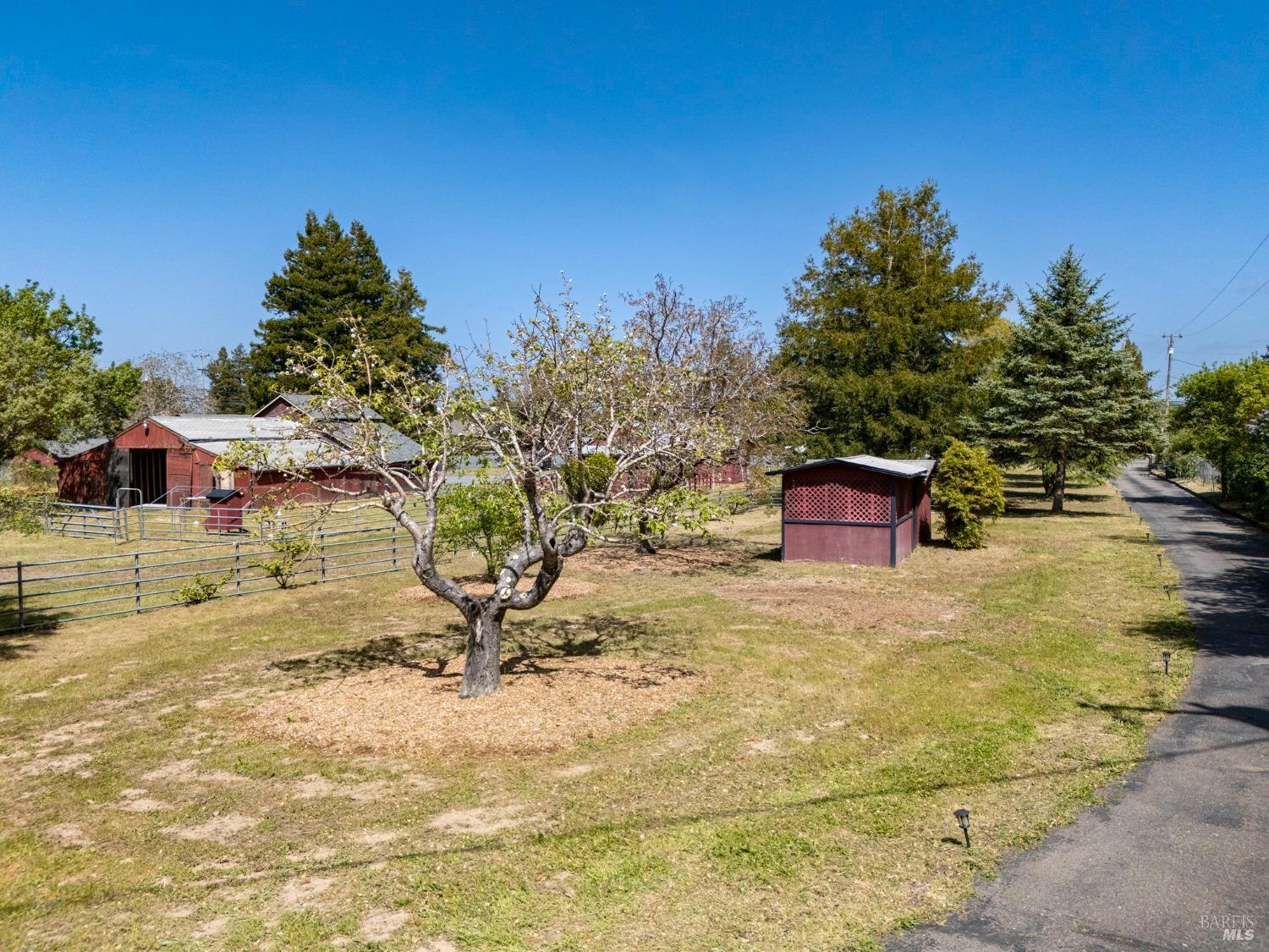 Detail Gallery Image 46 of 95 For 3314 Gravenstein Hwy, Sebastopol,  CA 95472 - 7 Beds | 4/1 Baths