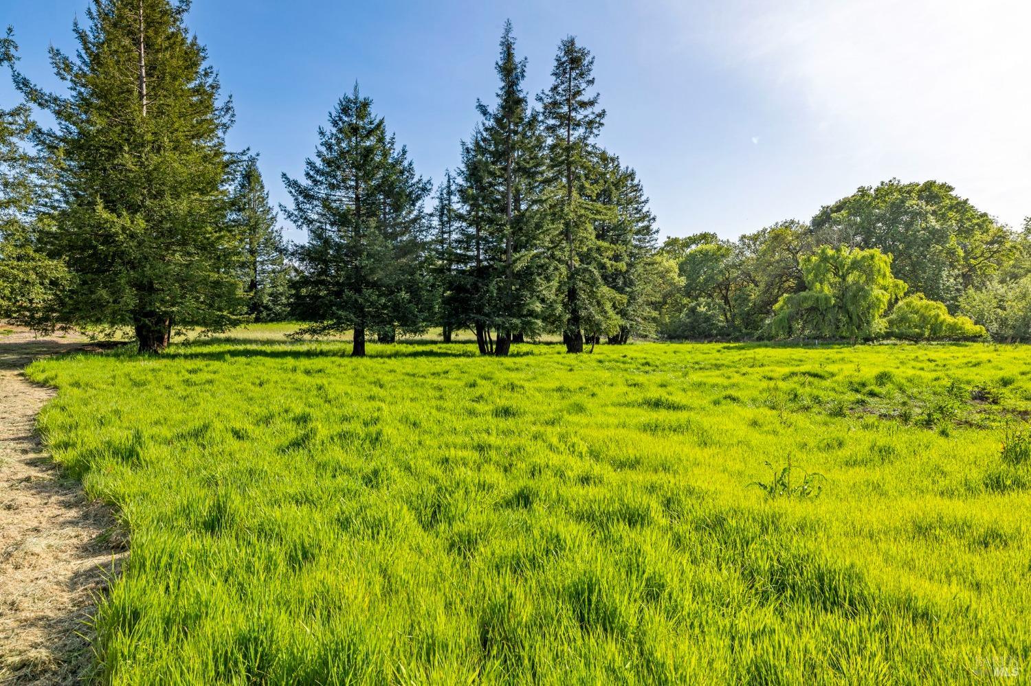 Detail Gallery Image 55 of 95 For 3314 Gravenstein Hwy, Sebastopol,  CA 95472 - 7 Beds | 4/1 Baths