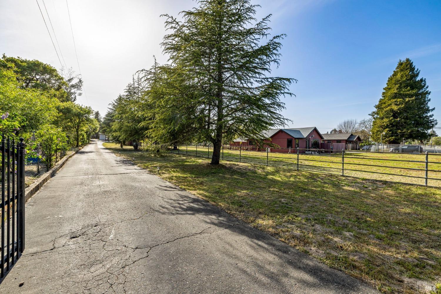 Detail Gallery Image 70 of 95 For 3314 Gravenstein Hwy, Sebastopol,  CA 95472 - 7 Beds | 4/1 Baths