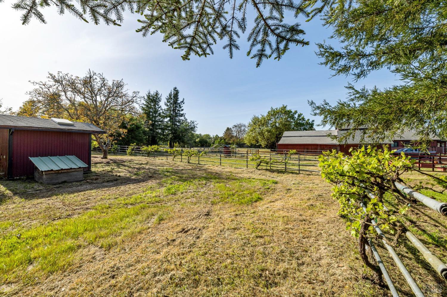 Detail Gallery Image 67 of 95 For 3314 Gravenstein Hwy, Sebastopol,  CA 95472 - 7 Beds | 4/1 Baths