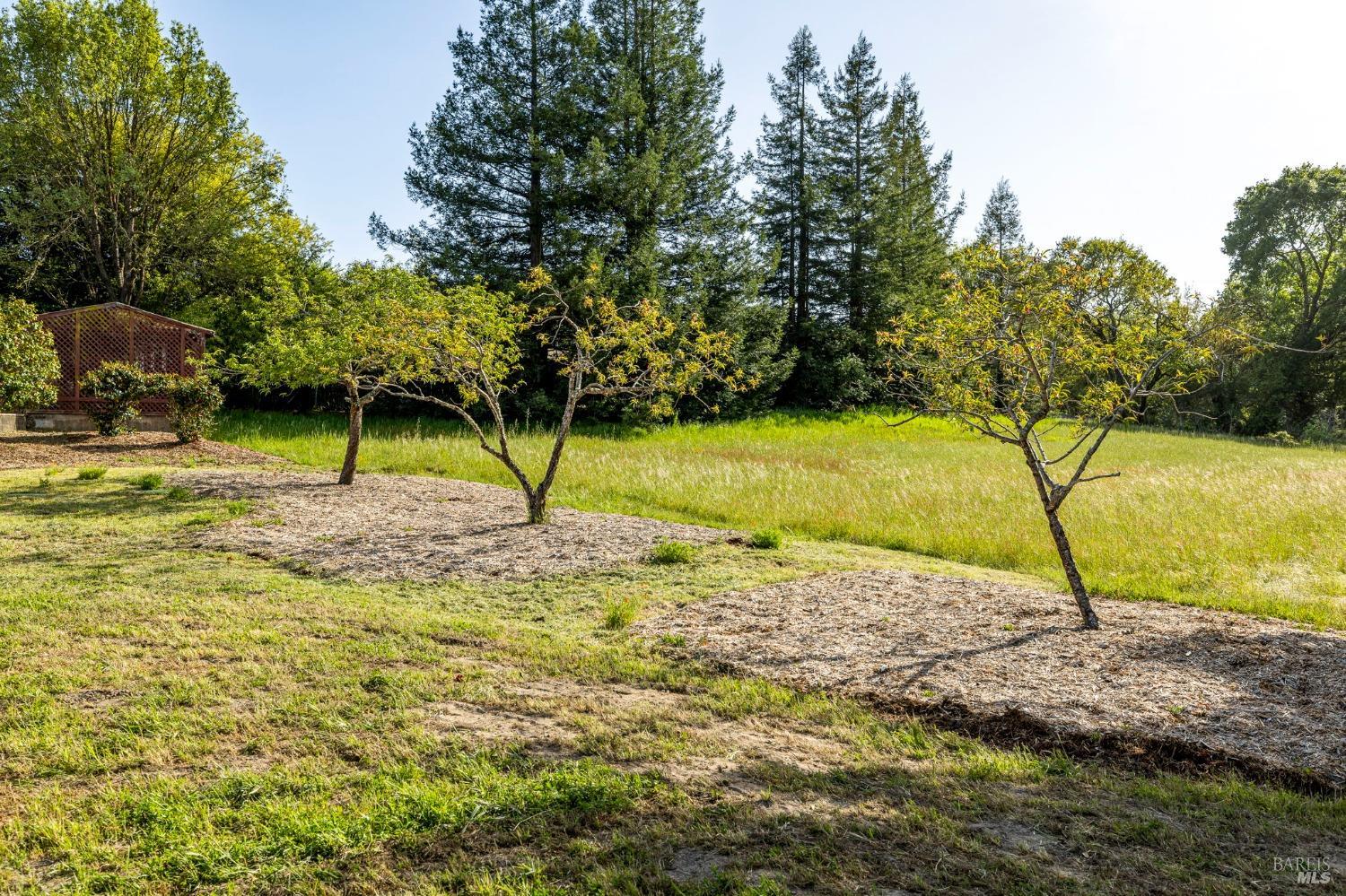 Detail Gallery Image 58 of 95 For 3314 Gravenstein Hwy, Sebastopol,  CA 95472 - 7 Beds | 4/1 Baths