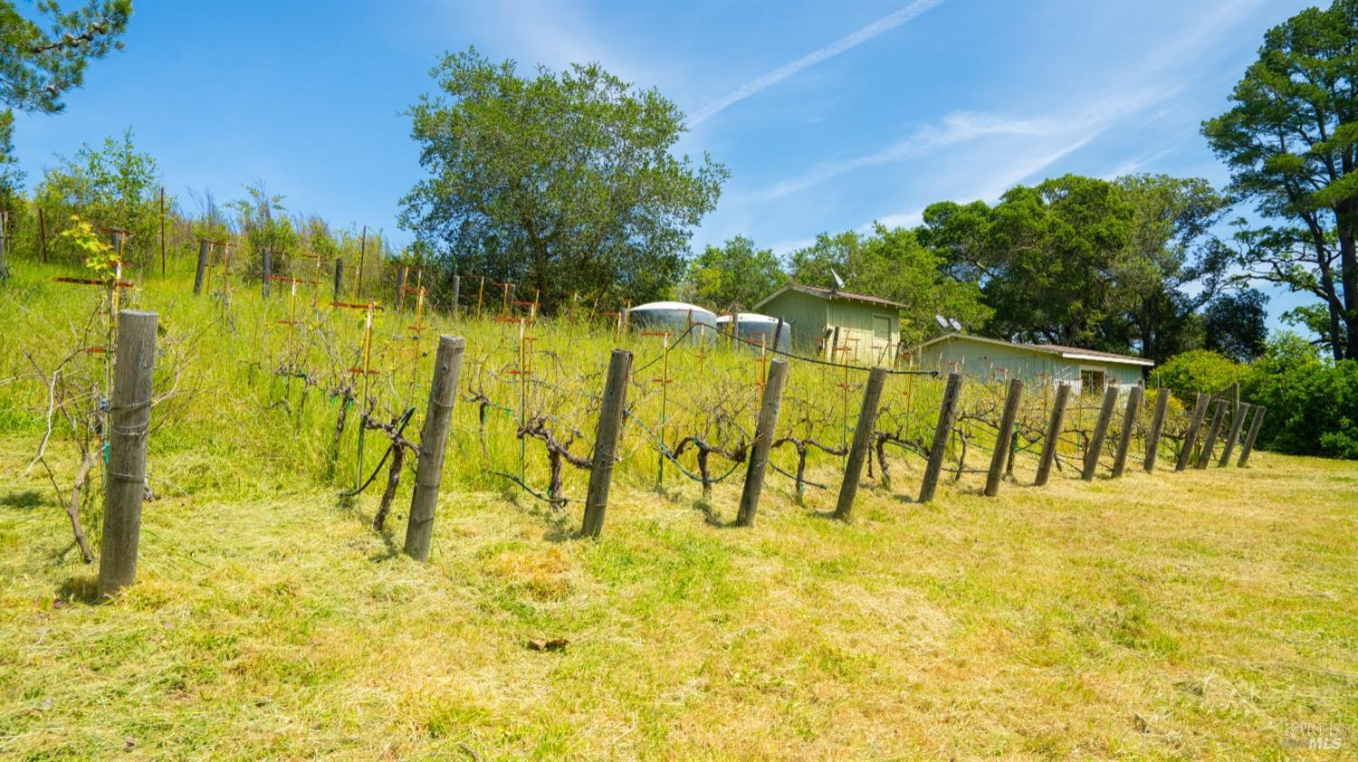 Detail Gallery Image 57 of 59 For 2267 Westside Rd, Healdsburg,  CA 95448 - 2 Beds | 2 Baths