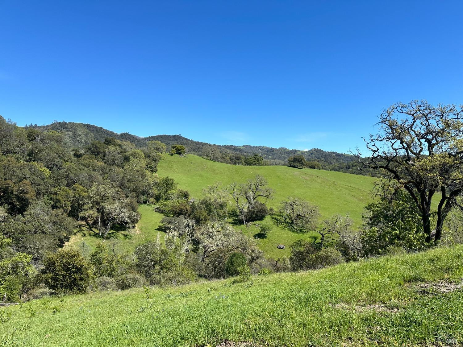 Detail Gallery Image 1 of 21 For 23655 Vineyard Rd, Geyserville,  CA 95441 - – Beds | – Baths