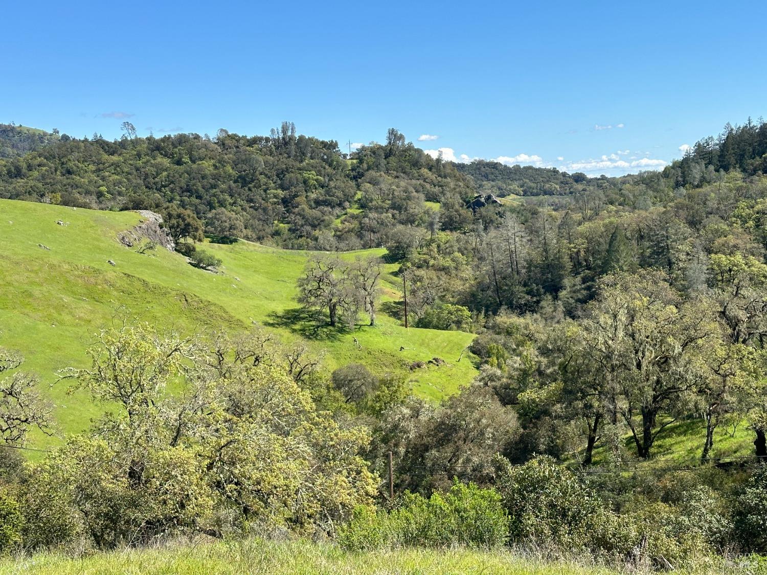 Detail Gallery Image 7 of 21 For 23655 Vineyard Rd, Geyserville,  CA 95441 - – Beds | – Baths