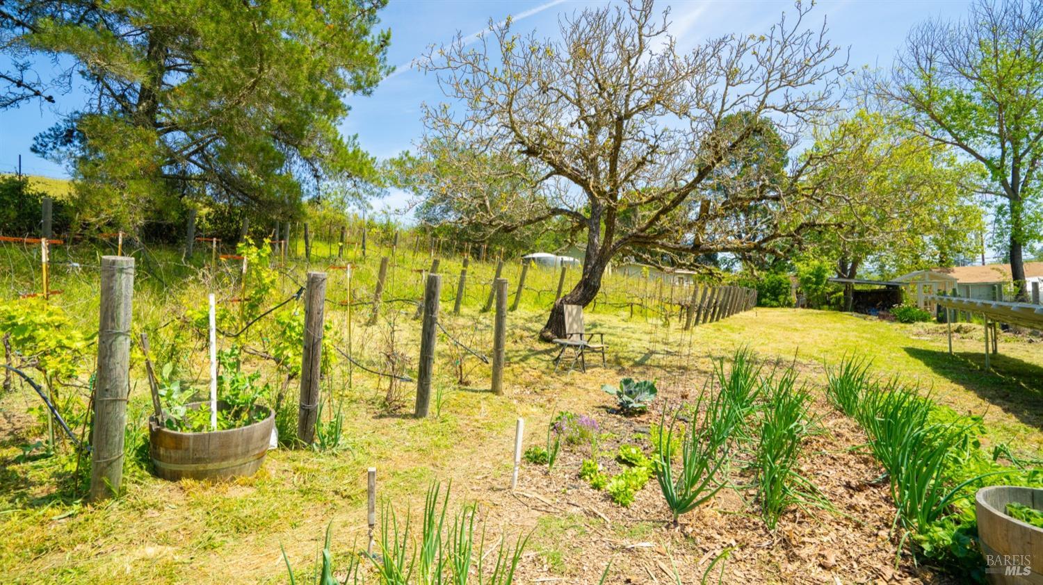 Detail Gallery Image 44 of 59 For 2267 Westside Rd, Healdsburg,  CA 95448 - 2 Beds | 2 Baths