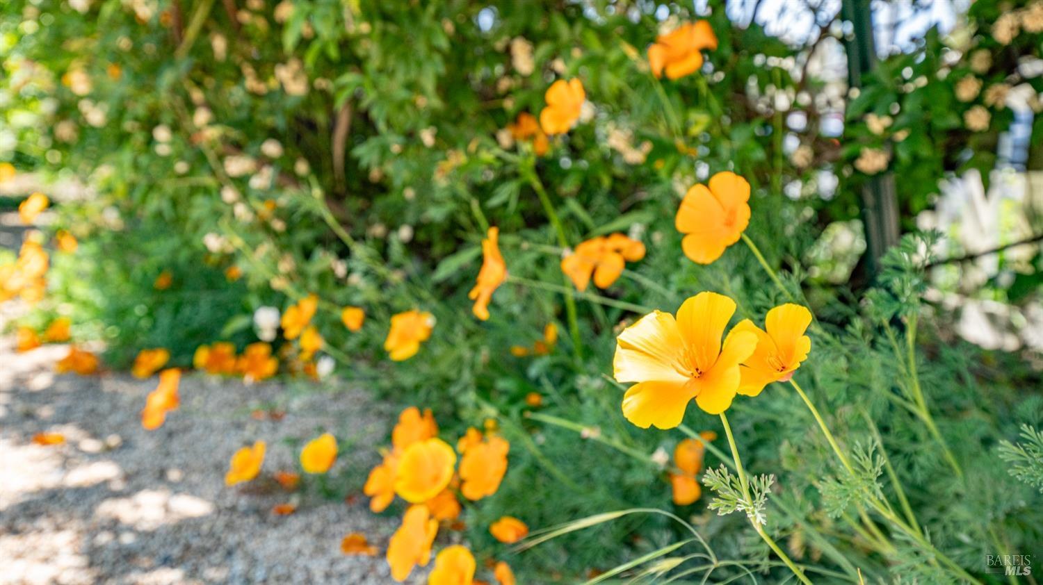 Detail Gallery Image 46 of 47 For 623 3rd St, Napa,  CA 94559 - 2 Beds | 2 Baths
