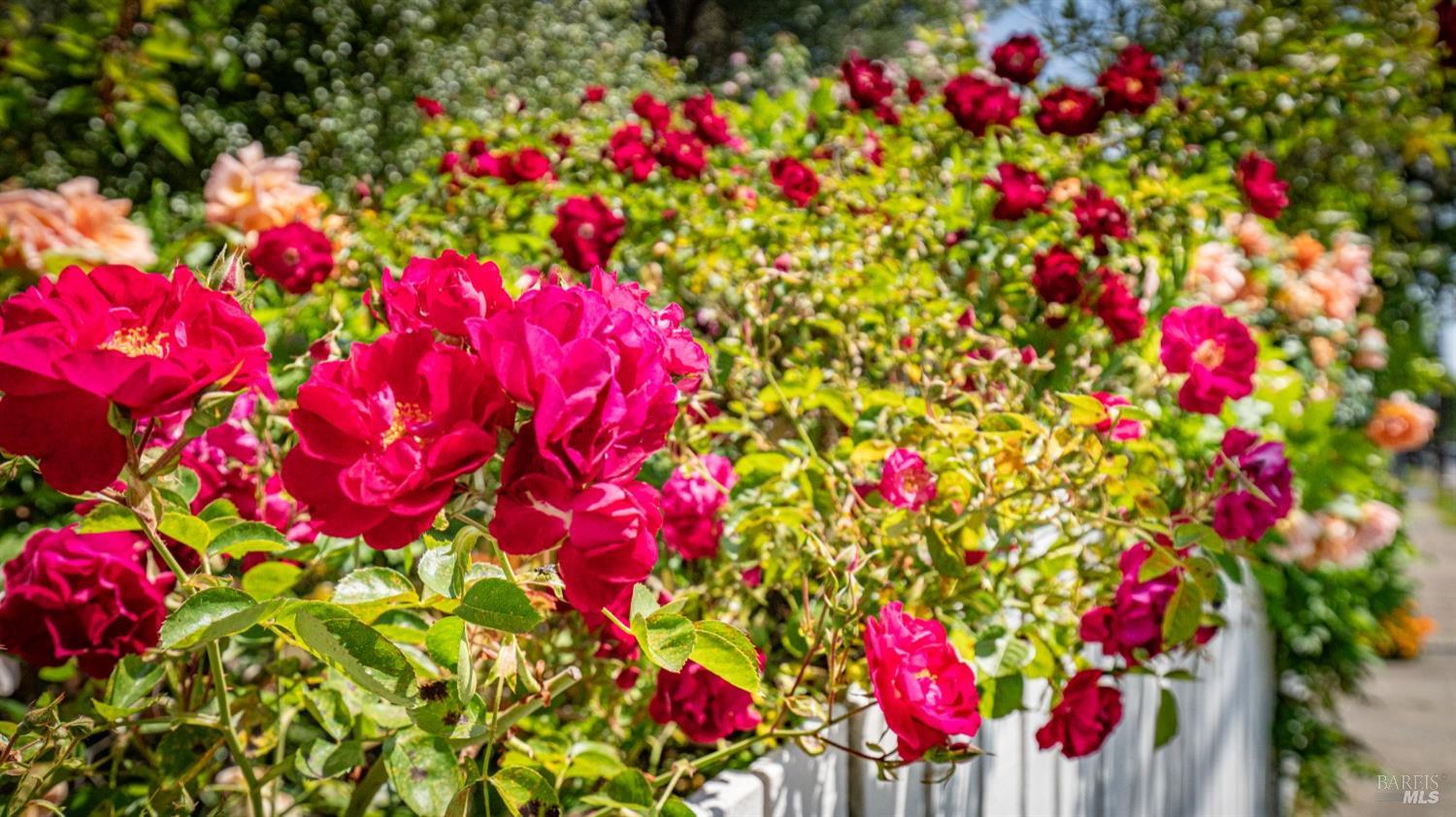 Detail Gallery Image 45 of 47 For 623 3rd St, Napa,  CA 94559 - 2 Beds | 2 Baths