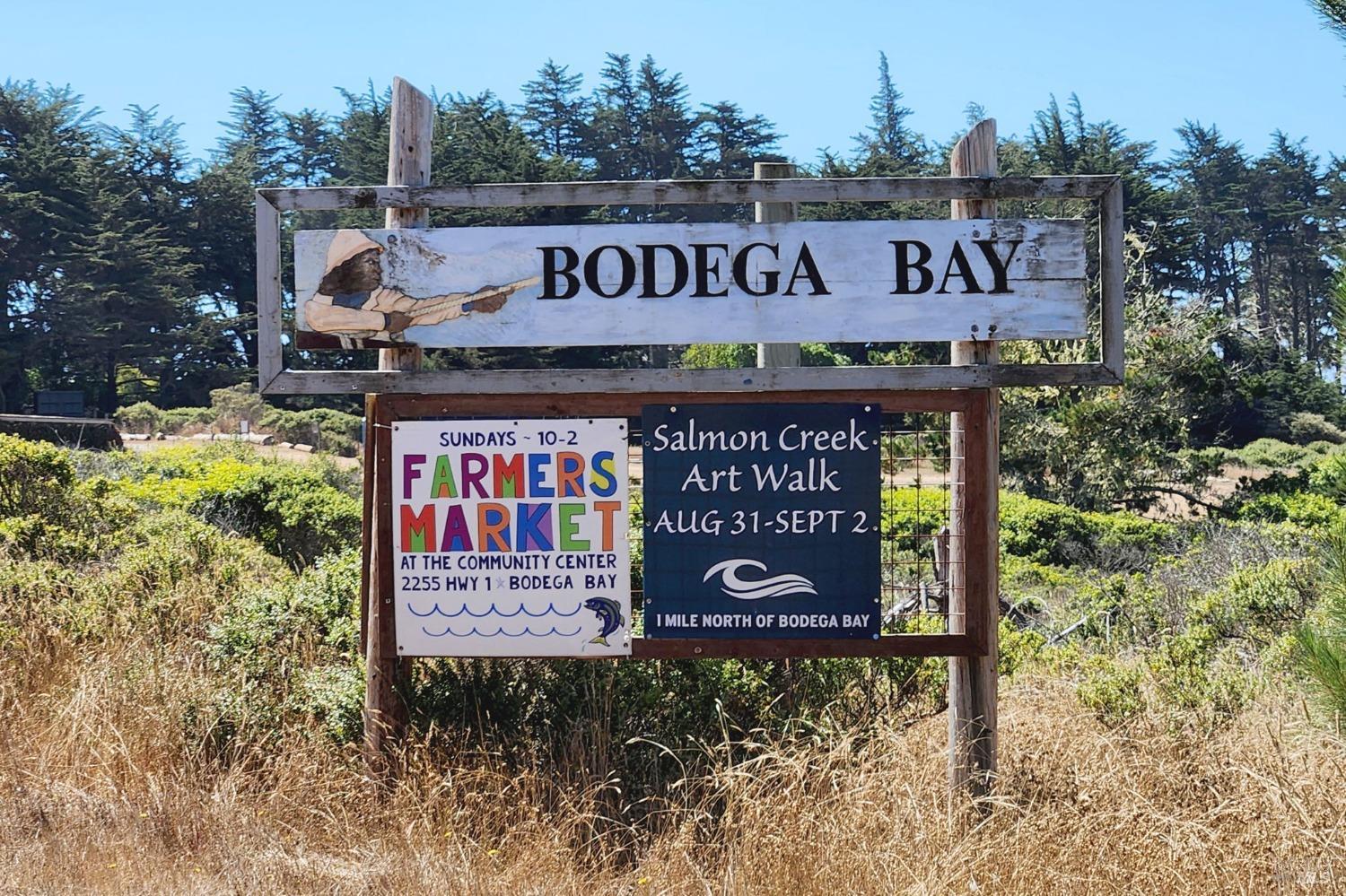 Bay View Street, Bodega Bay, California image 40