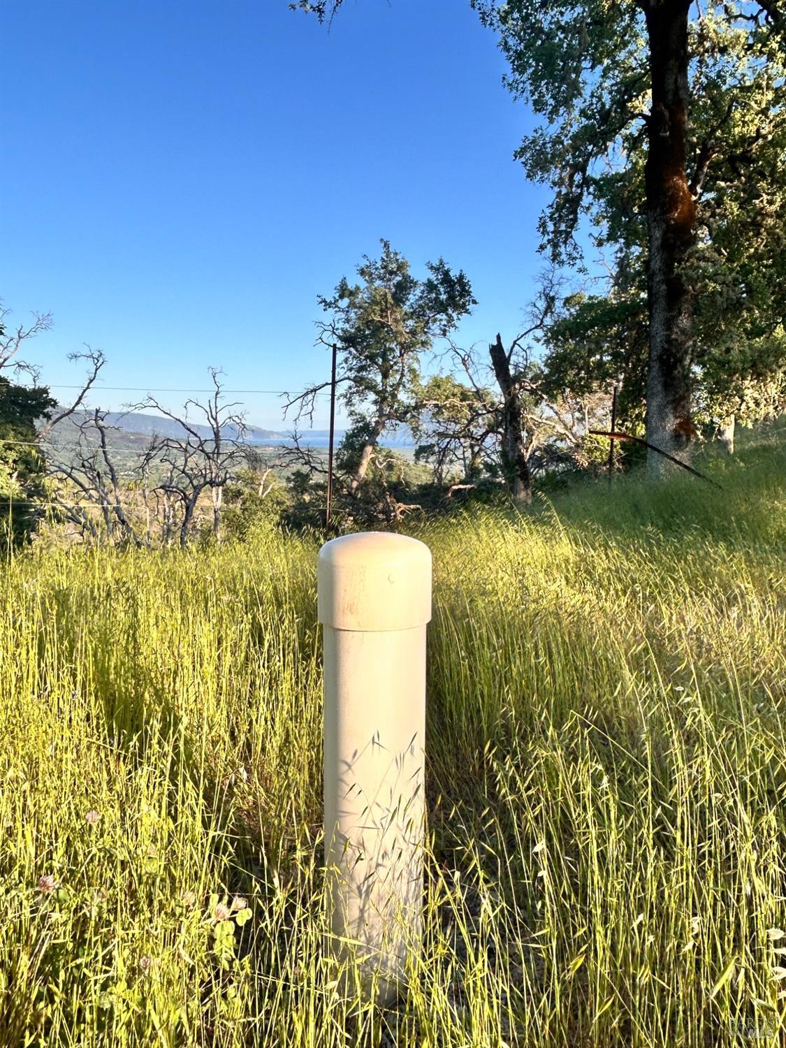 Detail Gallery Image 9 of 37 For 10504 Bachelor Valley Rd, Upper Lake,  CA 95493 - – Beds | – Baths