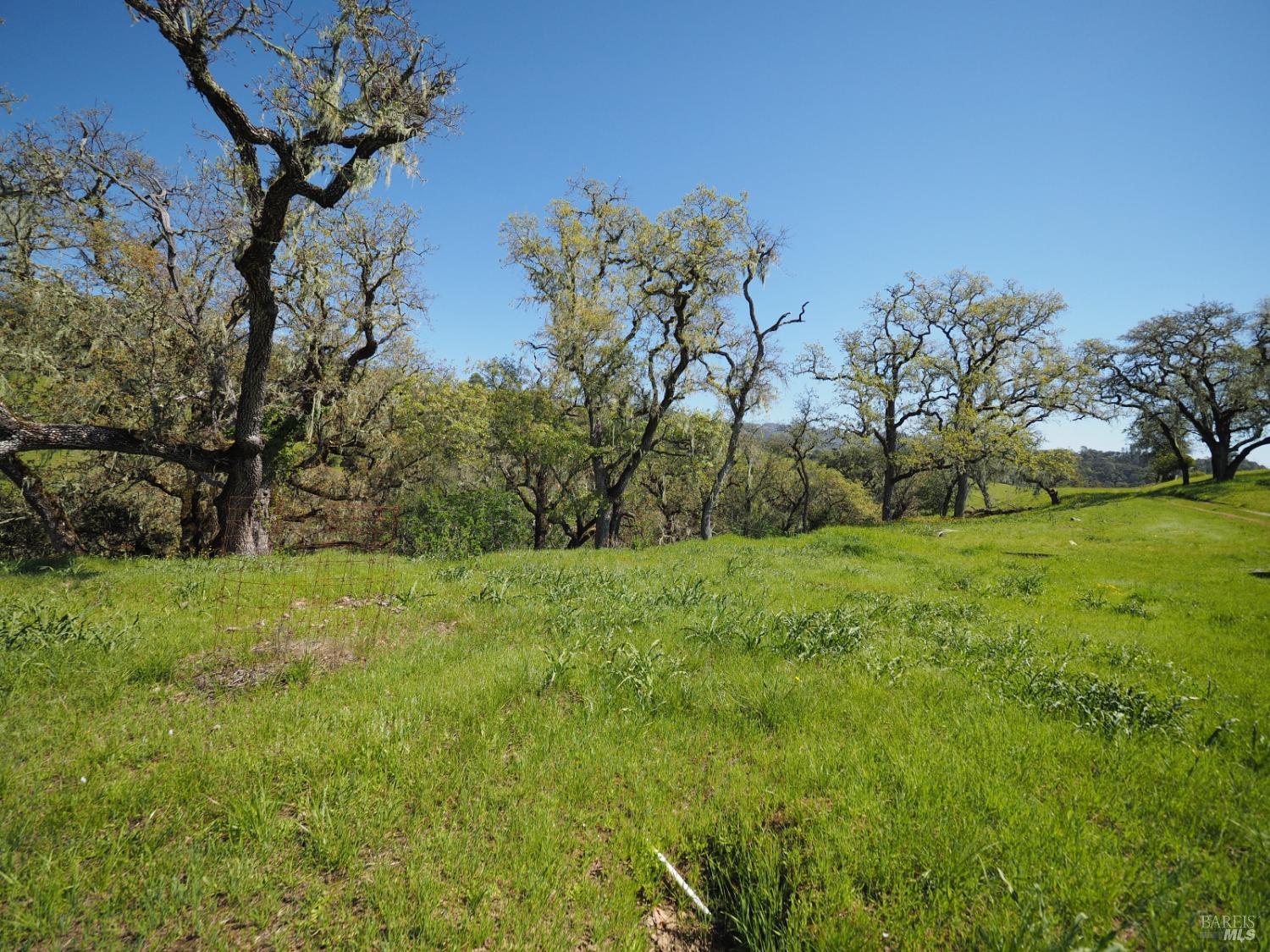 Detail Gallery Image 14 of 21 For 23655 Vineyard Rd, Geyserville,  CA 95441 - – Beds | – Baths