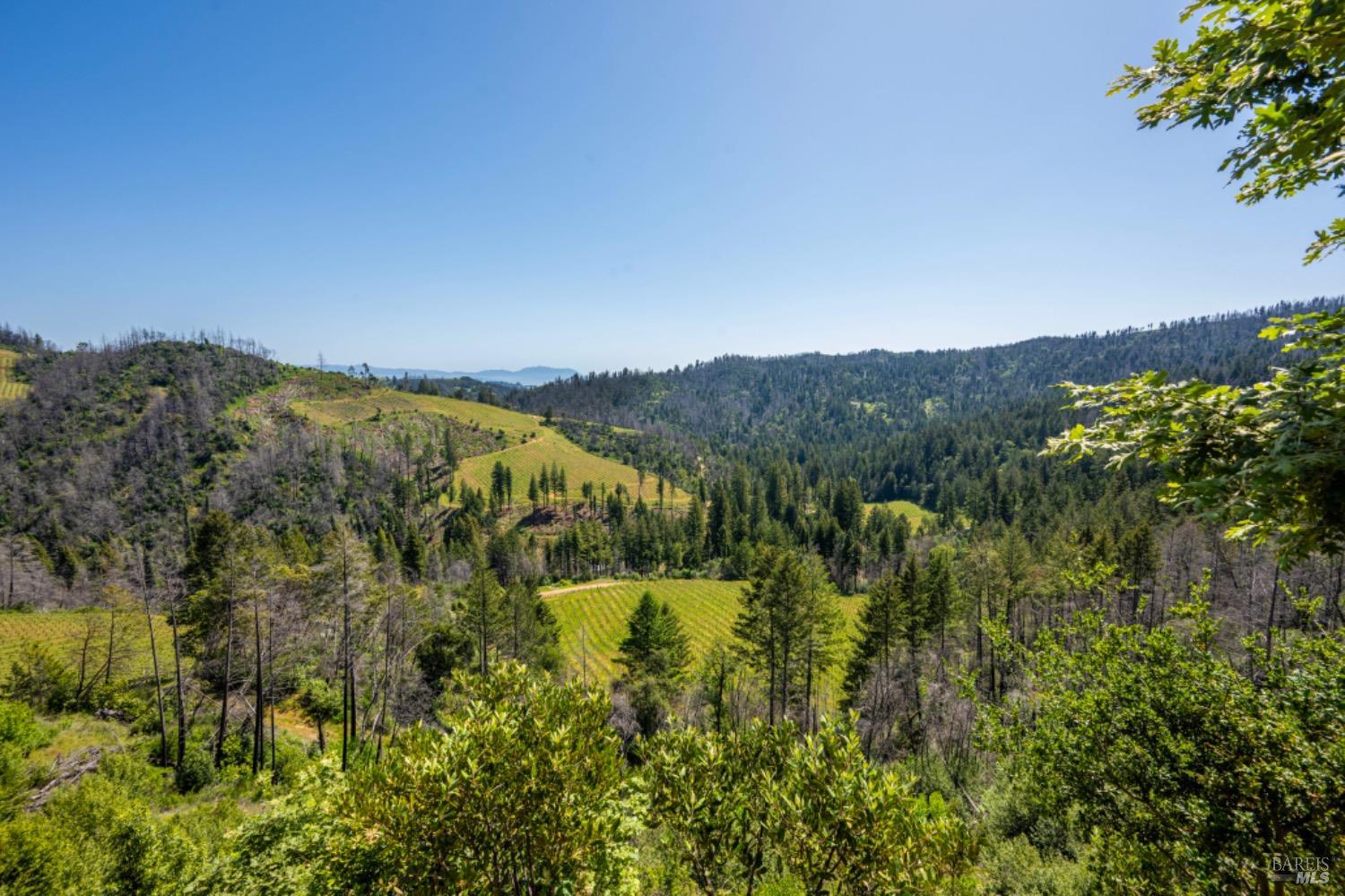 Detail Gallery Image 44 of 44 For 8909 Mill Creek Rd, Healdsburg,  CA 95448 - 2 Beds | 2 Baths