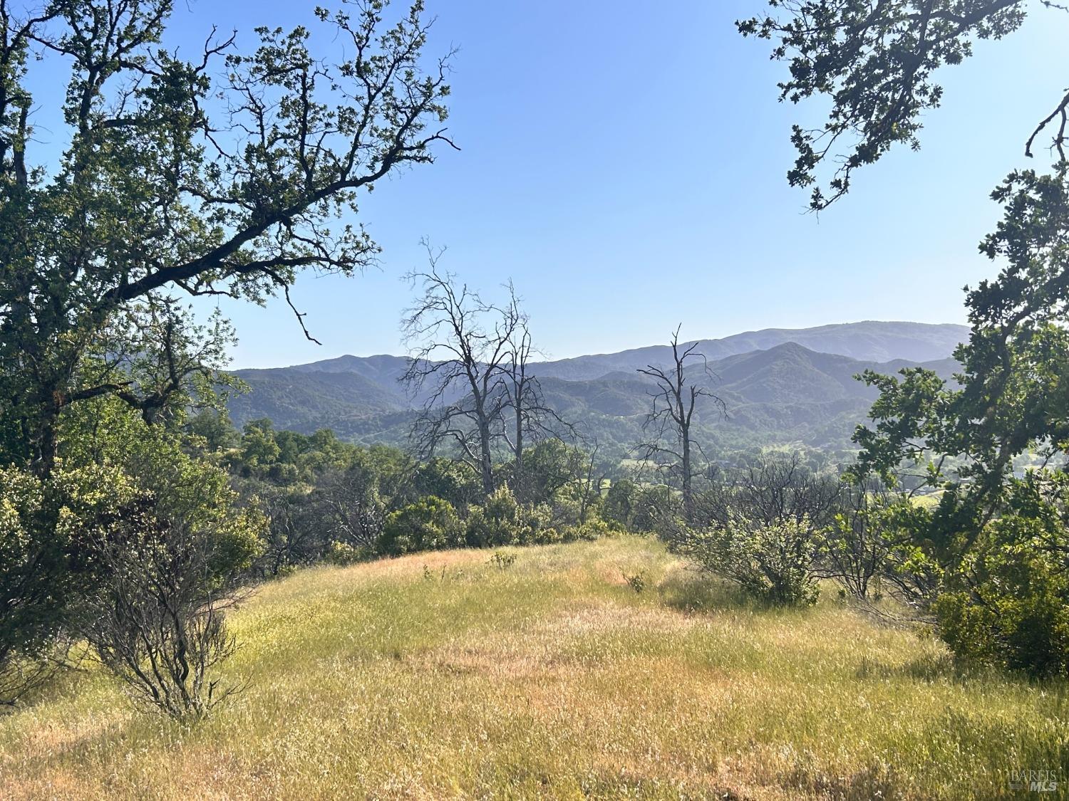 Detail Gallery Image 13 of 37 For 10504 Bachelor Valley Rd, Upper Lake,  CA 95493 - – Beds | – Baths