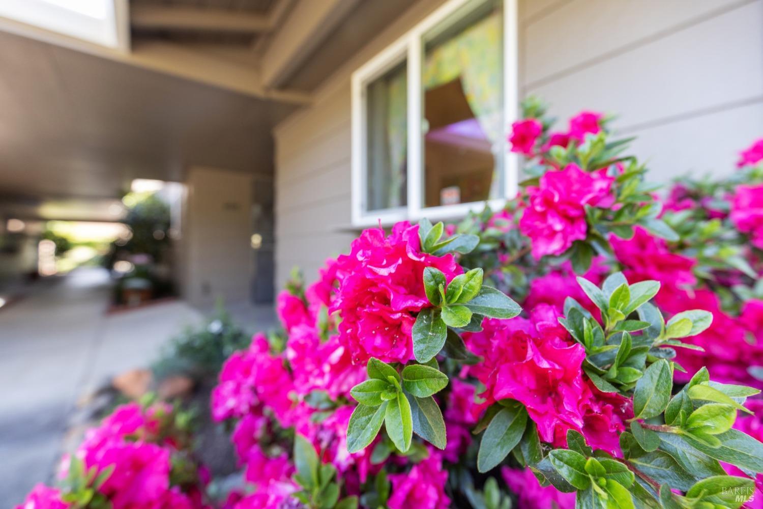 Detail Gallery Image 34 of 34 For 408 White Oak Dr, Santa Rosa,  CA 95409 - 2 Beds | 2 Baths