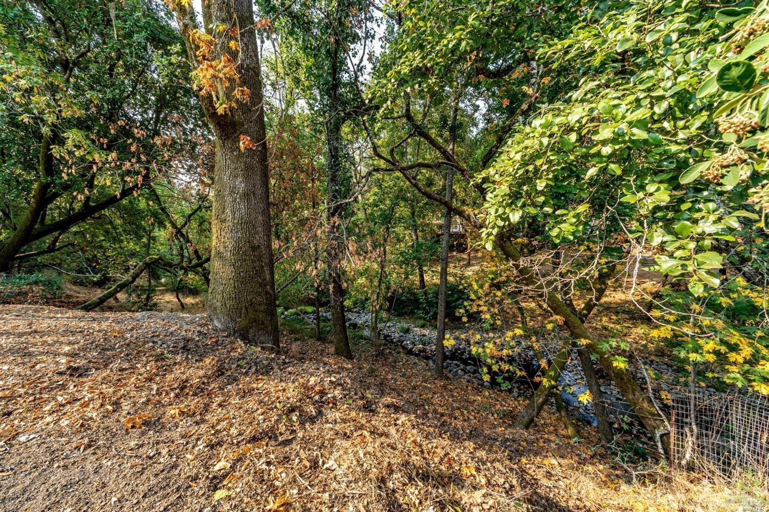 1513 Warm Springs Rd
