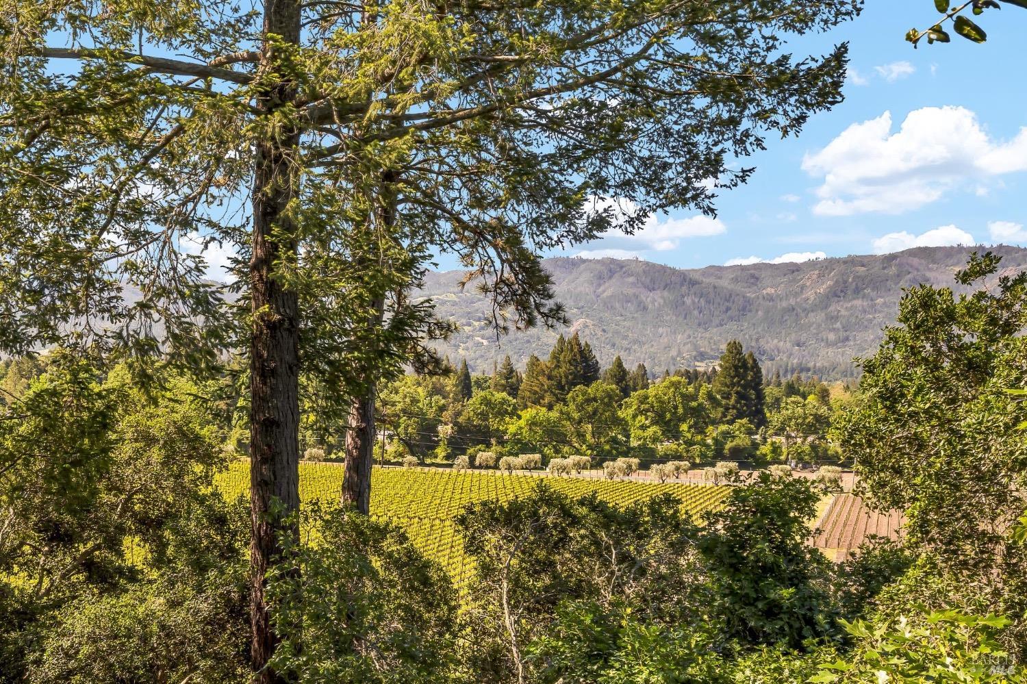Detail Gallery Image 49 of 49 For 522 Meadowood Ln, Saint Helena,  CA 94574 - 3 Beds | 3 Baths