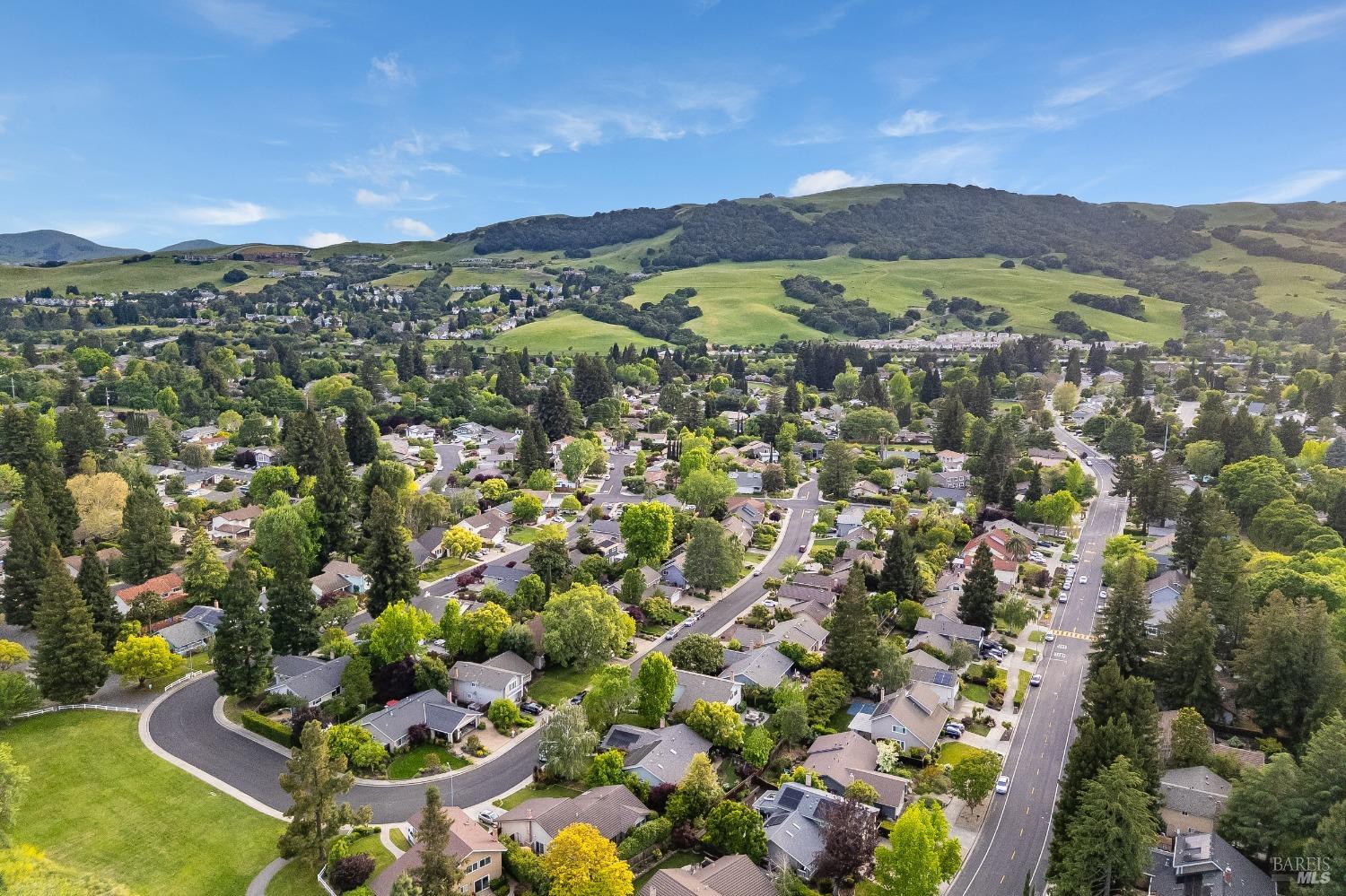 Detail Gallery Image 60 of 60 For 587 El Capitan Dr, Danville,  CA 94526 - 4 Beds | 2/1 Baths
