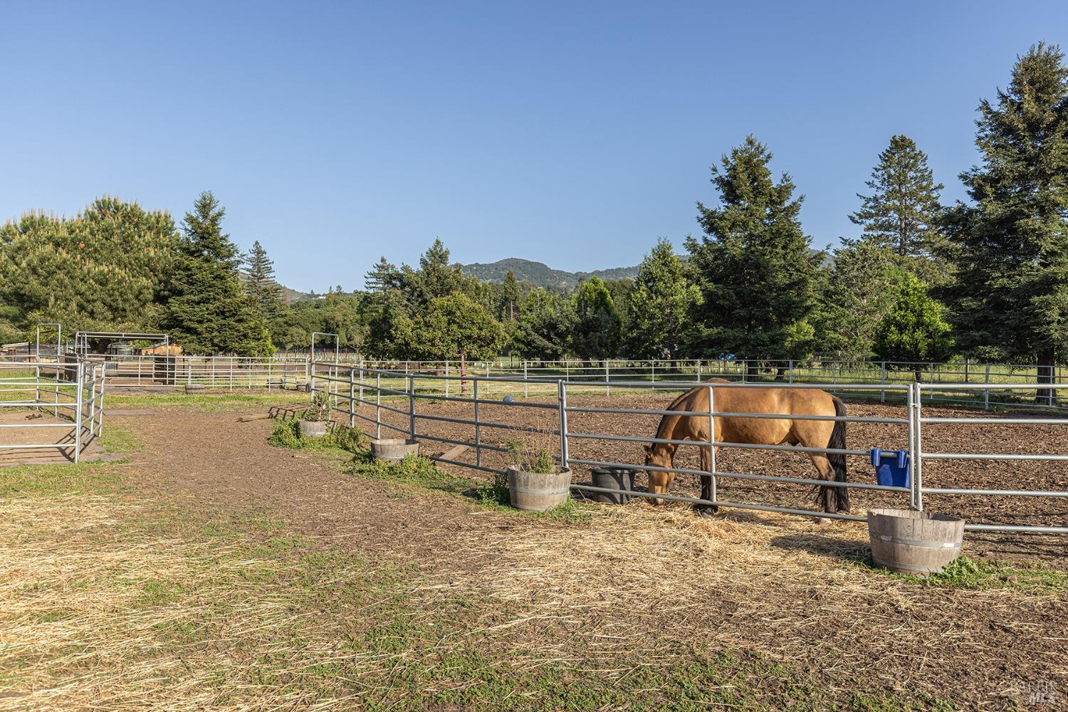 Detail Gallery Image 62 of 81 For 1040 Berry Ln, Napa,  CA 94558 - 2 Beds | 2/1 Baths