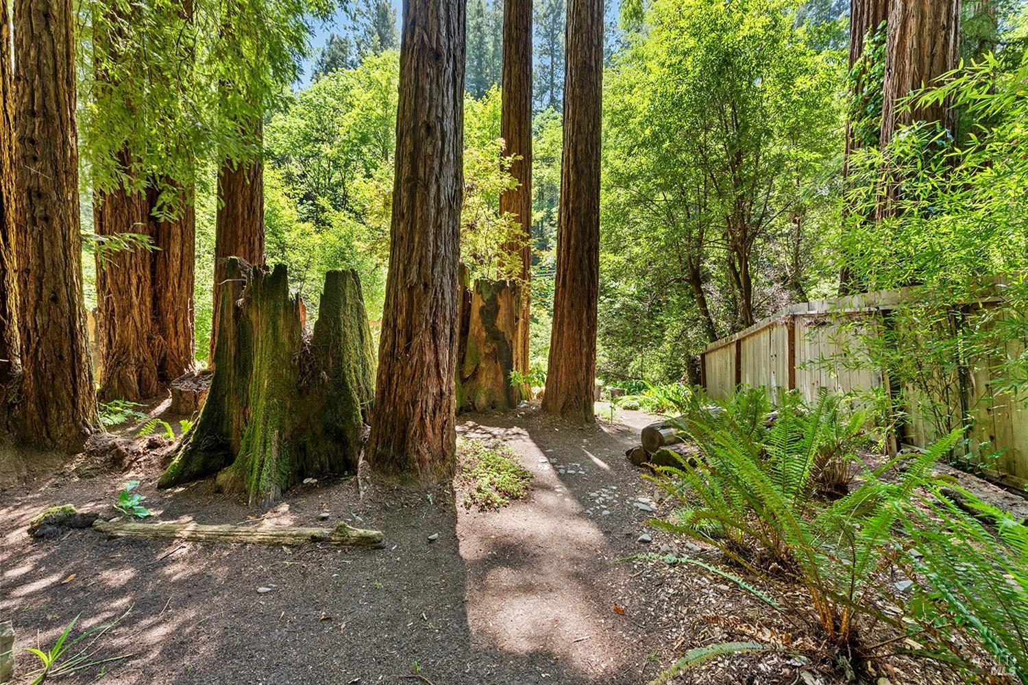 Detail Gallery Image 33 of 47 For 10 Wildwood Ln, Cazadero,  CA 95421 - 1 Beds | 1 Baths