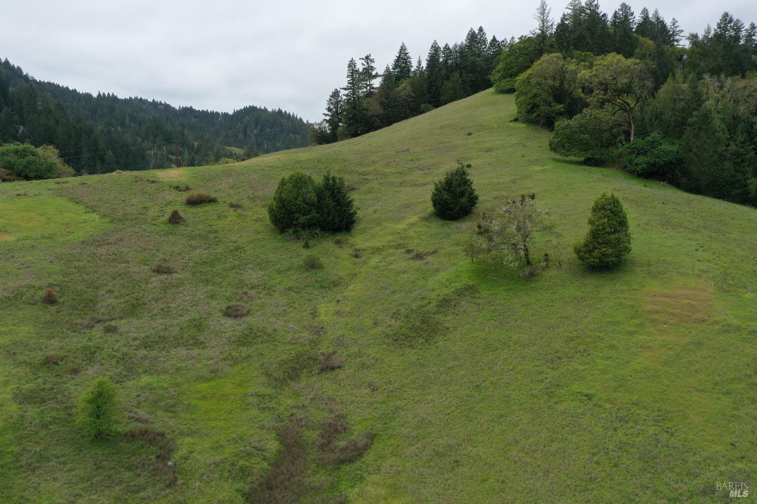 Detail Gallery Image 10 of 23 For 2115 Hwy 20 Hwy, Willits,  CA 95490 - 1 Beds | 1 Baths